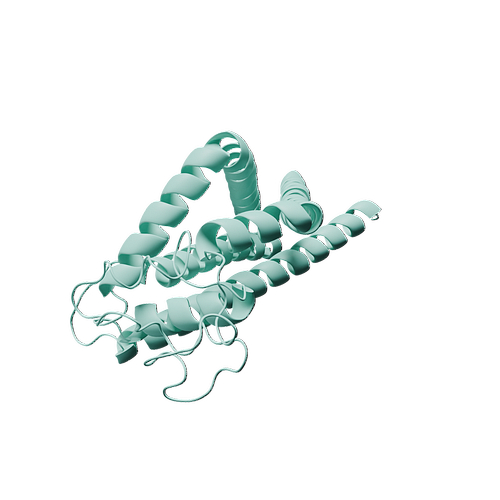 Human CD63 (N-6His, HEK293)